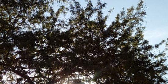 Imagem do grupo de WhatsApp Ganhar dinheiro