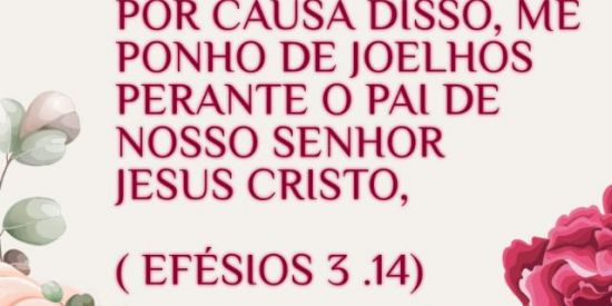 Imagem do grupo de WhatsApp SÓ JESUS SALVA