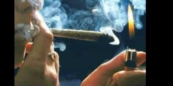 Imagem do grupo de WhatsApp Amigos do crime