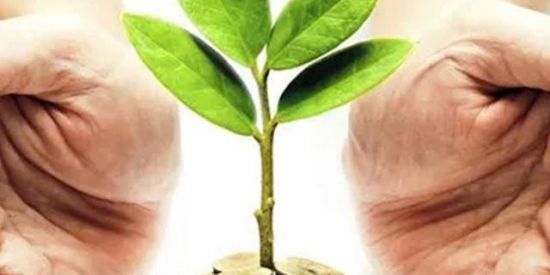 Imagem do grupo de WhatsApp Grupo dos AMBIENTALISTAs