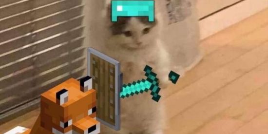 Imagem do grupo de WhatsApp M1NECRAFT 🐸✨