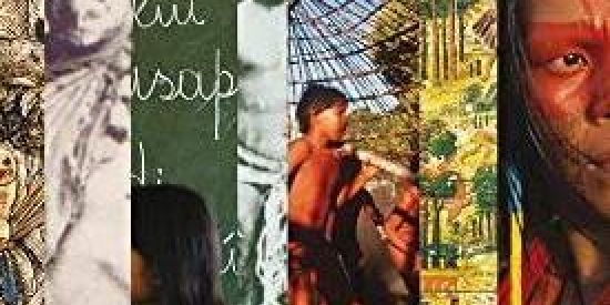 Imagem do grupo de WhatsApp Medicina Indígena