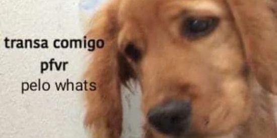 Imagem do grupo de WhatsApp 🔥ஓீ͜ZΔP CHΔT ⏤͟͟͞͞❍FC·࣭࣪̇˖🌴፝⃟┼