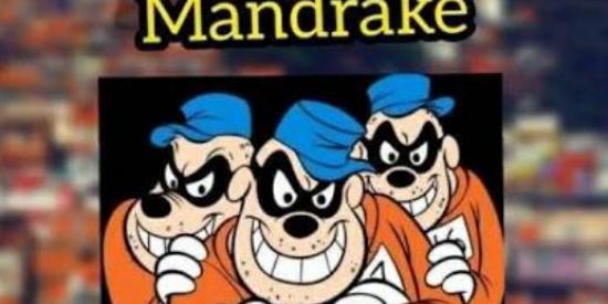 Imagem do grupo de WhatsApp Família mandrake🥋🚩✌🏼