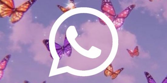 Imagem do grupo de WhatsApp Views nos Status