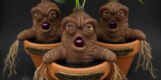 Imagem do grupo de WhatsApp Os Mandrake