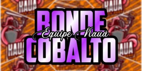 Imagem do grupo de WhatsApp ganhar seguidores cb's🦊