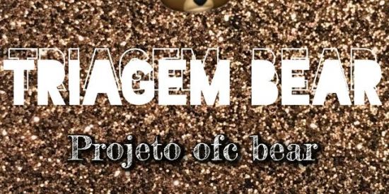 Imagem do grupo de WhatsApp ✮TRIAGEM BEAR✮