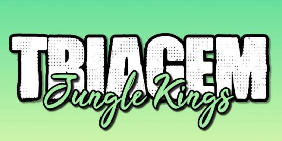 Imagem do grupo de WhatsApp 🦁TRIAGEM • ♔JҜ'ร♔🦁