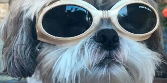 Imagem do grupo de WhatsApp Grupo da infância🥴🥴🥴🥴🥴