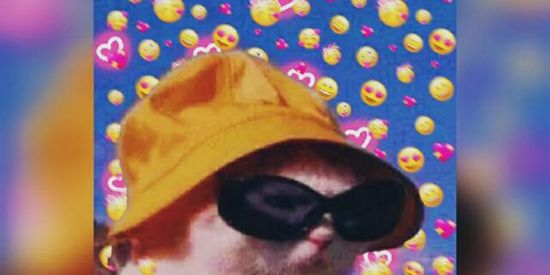 Imagem do grupo de WhatsApp 【The】【Supreme】【Shitpost】