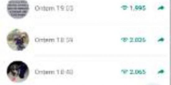 Imagem do grupo de WhatsApp VIZUU STATUS 🔥