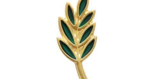 Imagem do grupo de WhatsApp 2021