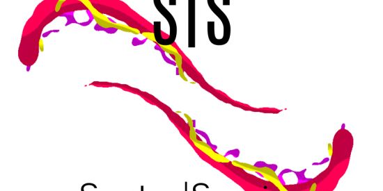 Imagem do grupo de WhatsApp Comunidade Seguidores #1