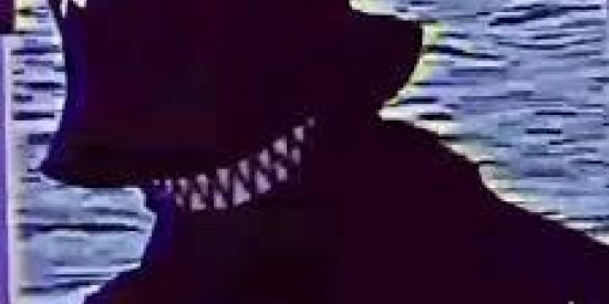 Imagem do grupo de WhatsApp ANONYMOU TZ