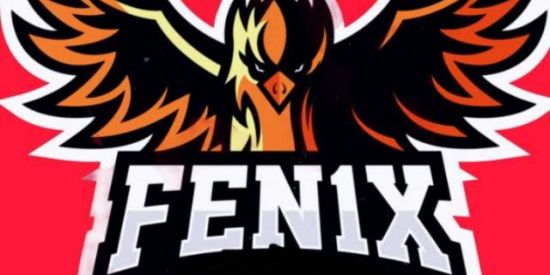 Imagem do grupo de WhatsApp FENIX GG +