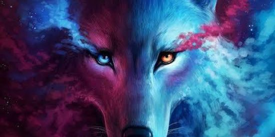 Imagem do grupo de WhatsApp Triagem de novos membros 🐺❄