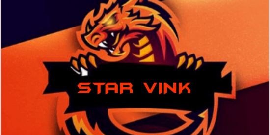 Imagem do grupo de WhatsApp STAR VINK