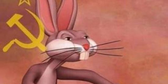 Imagem do grupo de WhatsApp NOSSO Grupo.