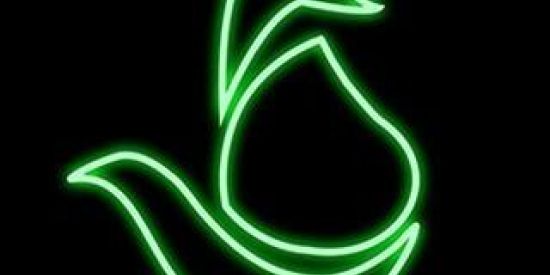 Imagem do grupo de WhatsApp RENDA EM CASA