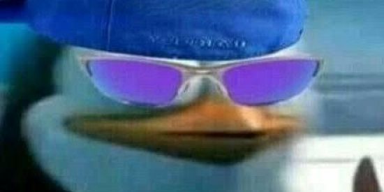 Imagem do grupo de WhatsApp Shitpost💩