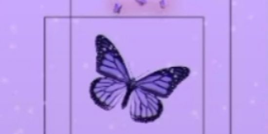 Imagem do grupo de WhatsApp Amizade e romance