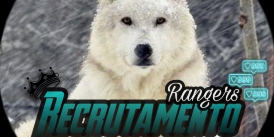 Imagem do grupo de WhatsApp 🖤RECRUTAMENTO ⃟❄️