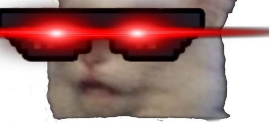 Imagem do grupo de WhatsApp MEGA-SGD🤡👺