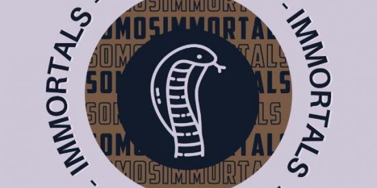 Imagem do grupo de WhatsApp ⚜️TI's ʙᴏɴᴅᴇrecutando⚜️