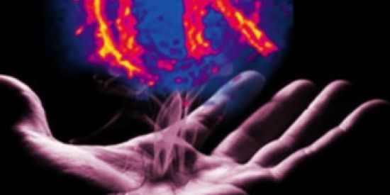 Imagem do grupo de WhatsApp Divulgação