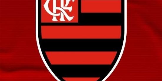 Imagem do grupo de WhatsApp Me doa uma conta de free fire gemada por favor