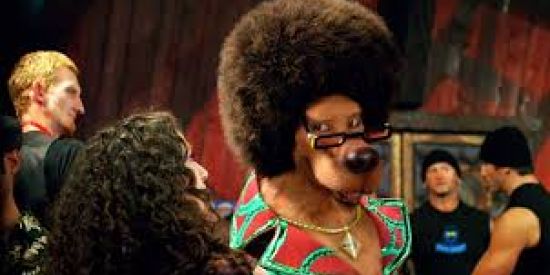 Imagem do grupo de WhatsApp Salinhaxx Ff Todo dia