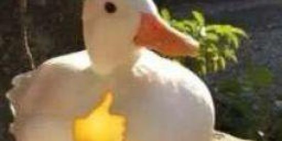 Imagem do grupo de WhatsApp 𒅒𖣘Shitpost 𖣘𒅒