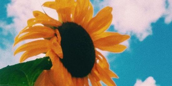 Imagem do grupo de WhatsApp So pessoas de 10 pra sima