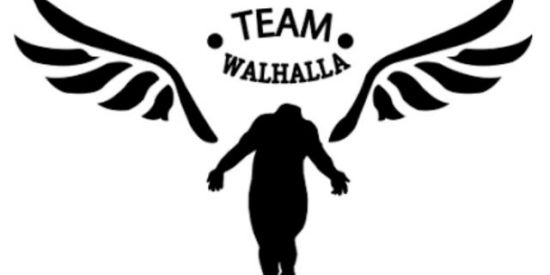 Imagem do grupo de WhatsApp valhalla