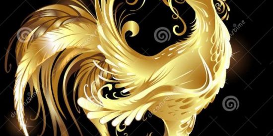 Imagem do grupo de WhatsApp Galo de raca (studio pirâmide)