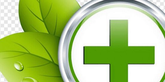 Imagem do grupo de WhatsApp Grupo de pesquisa cruz verde