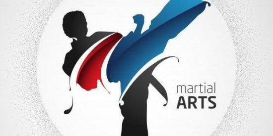 Imagem do grupo de WhatsApp Equipe Dragon🥊🥋