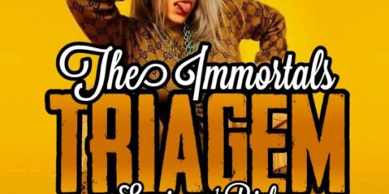 Imagem do grupo de WhatsApp ¹🐍TRIAGEM BONDE TIS🐍