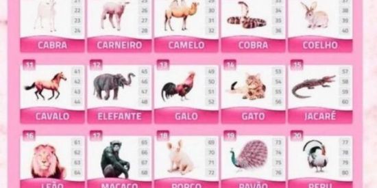 Imagem do grupo de WhatsApp RM rifas 🍀