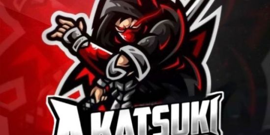 Imagem do grupo de WhatsApp 🐍Triagem akatsuki🐍