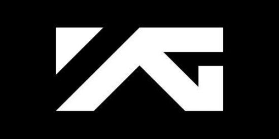 Imagem do grupo de WhatsApp YG LIFE ( YG work life )