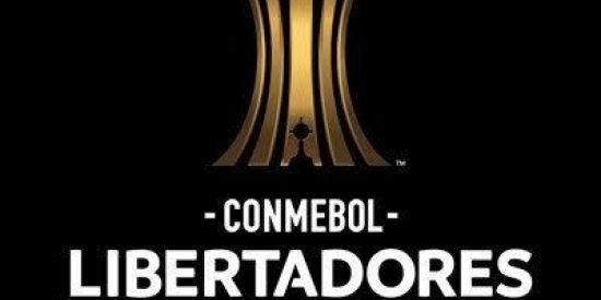Imagem do grupo de WhatsApp Copa Libertadores 🏆