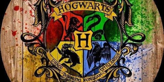 Imagem do grupo de WhatsApp 🎩Chapéu Seletor💚💙💛❤️