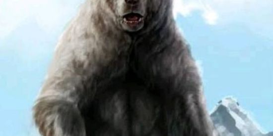 Imagem do grupo de WhatsApp Tropa do Urso 🐻