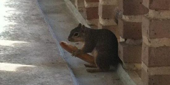 Imagem do grupo de WhatsApp Amigos x relacionamento