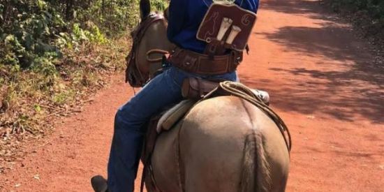 Imagem do grupo de WhatsApp Os brutos 🤠