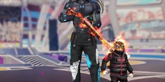 Imagem do grupo de WhatsApp TROCAS DE CONTAS DE FREE FIRE