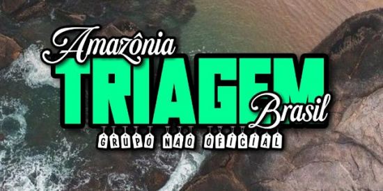 Imagem do grupo de WhatsApp 🚀TRIAGEM A. BRASIL🚀