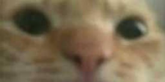 Imagem do grupo de WhatsApp 🔥⃟⃤S⃡HIT⃢   DΩ PT4FAX℘⃟⃤